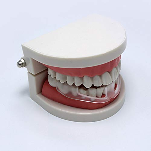 Започнете со заби за спиење без вриење или обликување за горната или долната вилица подготвена за употреба на детска стоматолошка