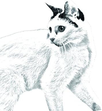 Уметност Куче Оод. Јапонски Бобтаил Мачка, Овален Надгробен Споменик Од Керамичка Плочка со Слика на мачка