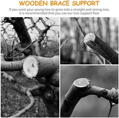 SCICALIFE 10 парчиња дрво заснована Поддршка за поддршка практично дрво чаша за фиксирање на чаша за фиксирање