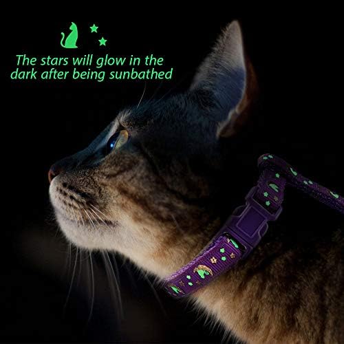 Појас за мачки И Поводник Поставете Златни Месечини Мек Најлонски Доказ За Бегство Прилагодлив За Мачиња Малите Животни Светат Во Темнина