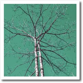 3drose инфрацрвена фотографија на дрво со многу гранки и. - Ironелезо на трансфери на топлина