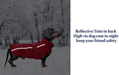 Водоотпорен палто на Дахшунд, совршен за колбаси од дахшунд, зимска јакна за кученца со поставена обвивка за руно, облека за кучиња на отворено