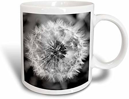 3Drose Whiteoak црно -бела фотографија - црно -бело глуварче - чаши