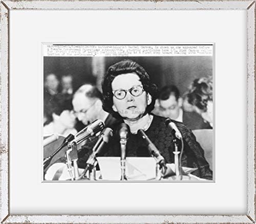 Бесконечни фотографии Фото: Рејчел Карсон, Владини операции во Сенатот 1963 година