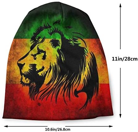 Африканско Знаме со нов Дизајн Лавот На Јуда Раста Растафари Јамајка Плетете Зимска Капа Од Грав Топла, Растеглива Мека Капа За Мажи