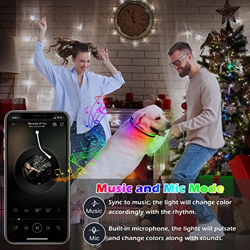 Мутовлин Осветли Јака За Кучиња, Апликација Bluetooth Повеќе RGB Бои Led Јака За Кучиња, USB Водоотпорна Јака За Кучиња На Полнење