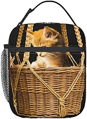 Животинска кошница за мачки изолирана љубопитност млада мачка игра Миленичиња Голема Мека Торба За Ручек Торба Изолирана Торба