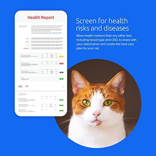 Тест за ДНК на мачки Basepaws | Раса + Здравје + Стоматолошки извештај | Врвни раси на мачки и 114 маркери за здравство и особини