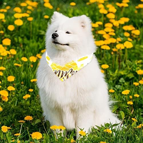 Laiyuhua Dog Bandana Looding Changhrchchief Soft Triangle Dog Bibs Carfue Custom Pet Pet Hepwear Apperies за големи и екстра големи