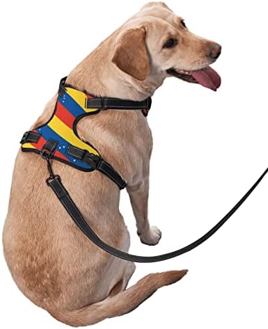 Куче Темперамент Венецуела Знаме Шема Миленичиња Прилагодливи Надворешен Елек Прицврстува Х-Голем