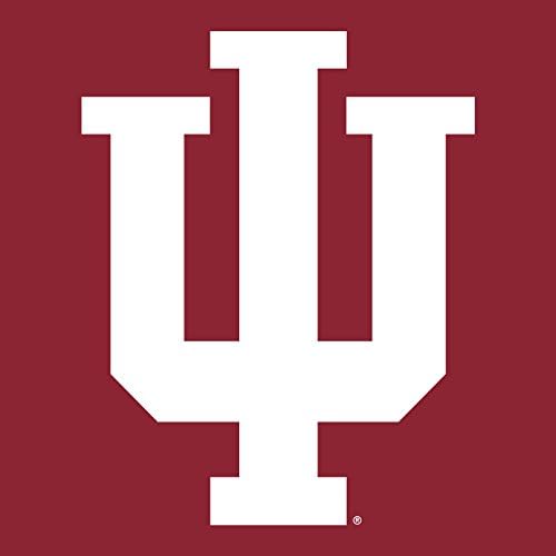 Угп Кампусот Облека NCAA Предниот И Задниот Печатење, Тим Боја Худи, Колеџ, Универзитет