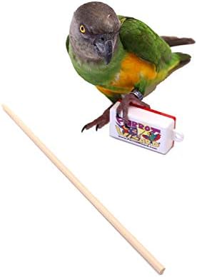 Кликнувач за обука на папагал и целен стап