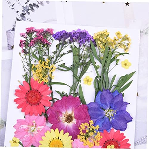 ИЗВАДОК 30 парчиња Комплет Сушени Цвеќиња Сушени Притиснати Ливчиња Сушено Цвеќе За Сапун Материјал За Правење Бисутерија Материјали Суви