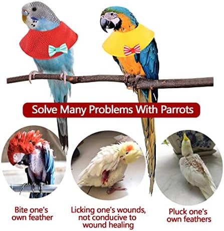 ZJWP прилагодлива папагал од папагали со затегната јака, јака за обновување на јака од птици против заздравување, помогнете заздравување