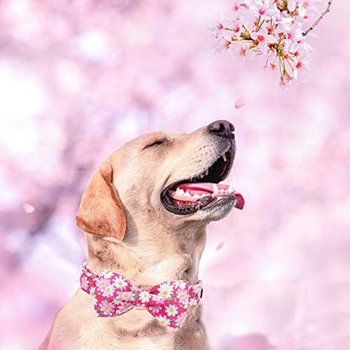 Елегантна мала опашка кучиња јака, јака за кучиња со лак, розова цветна девојка кучиња јака за домашно милениче куче, кучиња, прилагодлива