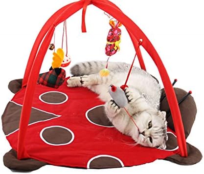 Леоу Мачка игра душек со играчка миленичиња маче игра шатор Активност на перниче за поделена креветка