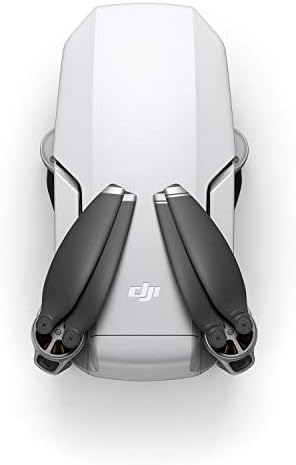 DJI Mavic Mini Portable Drone Quadcopter мора да има пакет - CP.MA.00000120.01