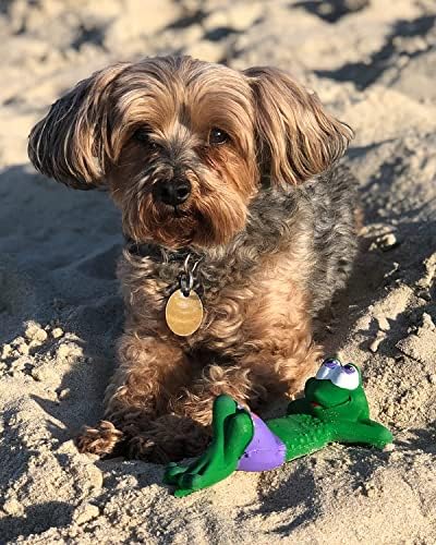 Плажа Жаба-Писклив Куче Играчка-Мека, Природна Гума-6 Долго-За Мали Кучиња &засилувач; Кученца-Во Согласност Со Истите Стандарди За Безбедност