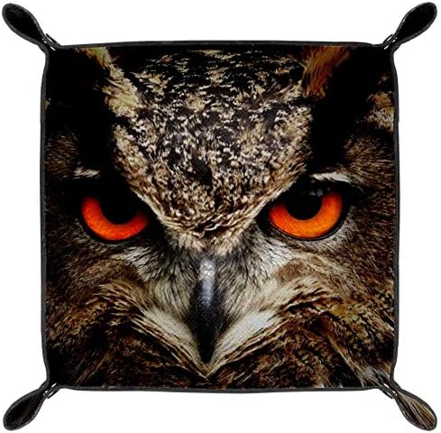 Lorvies Owl Bird Eyes Eygle Oge Owl Birds Birds Storage Cube Couther Couthen Counters Containers за канцелариски дом