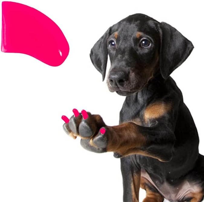Убави Канџи 6 Месечно Снабдување Меки Капачиња За Нокти Со Лепило За Канџи За Кучиња-Фусија Пинк Џамбо