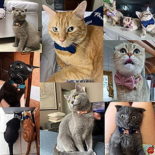 Јака за мачки Персонализирана Со Врежано Име И Ѕвонче, Прилагодени Кадифени Јаки за Мачиња За Кученца