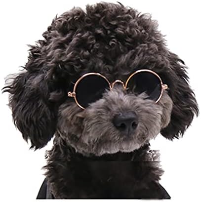 Смешни очила за сонце од мачки чаши за кучиња метални ретро кружни очила кученце миленичиња за миленичиња за играчки играчки за костуми фотографии