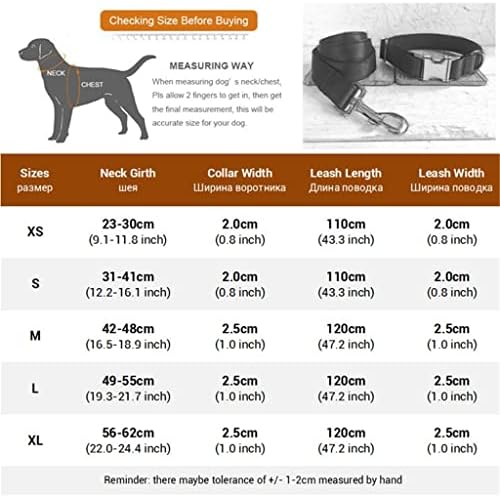 Генерички Миленичиња Куче Јака И Поводник Постави Персоналните Куче Јака Со Лак Паун Модел Дизајнер Јака За Куче Метал Тока