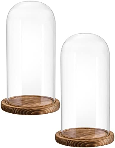 Купола со стаклена клоче со пакувања Mezchi 2, декоративно стакло дисплеј bellвоно тегла, чиста стаклена купола изложба со темно кафеава дрвена база, за растенија, медал?