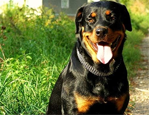 Jwpc кучиња јака домашно милениче железо метал метал со двојни ланци на вратот на вратот на вратот на вратот, тренинг за одење за мали средни