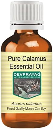 Devprayag чисто каламус есенцијално масло од пареа дестилирана 15мл