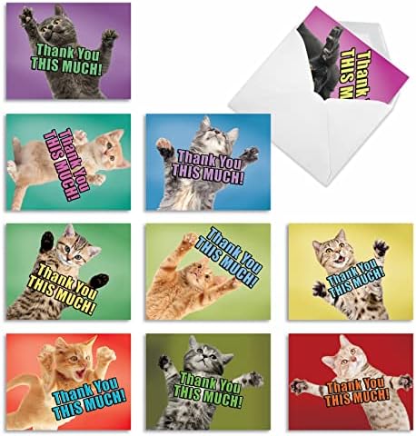 Најдобрата компанија за картички, мачка голема благодарност - 10 смешни благодарни картички - разновидни мачки, рефус кутии сет M2368Tyg