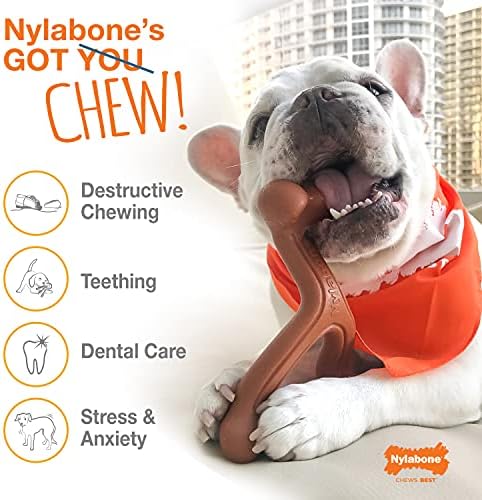 Nylabone Dog Toy Power Chew Dog Toy за агресивни џвакачи - играчка за кучиња од коска - путер од кикирики голем/гигант