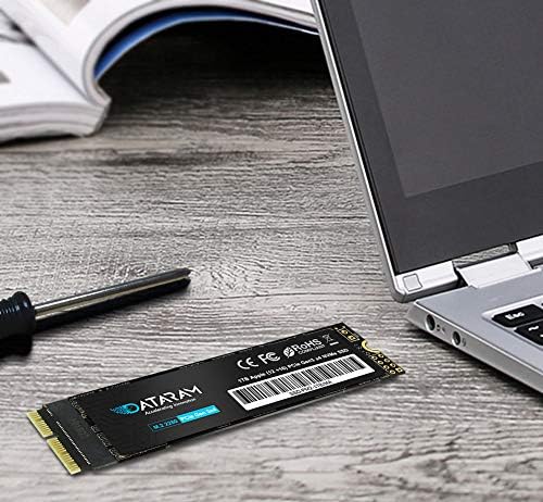 Dataram 1tb M. 2 M-Клуч PCIe NVMe SSD за 2013-16 MacBook, Mac Pro, Воздух, Мини, iMac