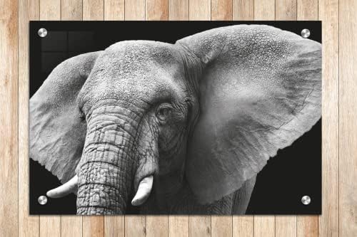 Акрилна стаклена рамка модерен wallиден уметнички слон - животни во диви црно -бели серии - модерен дизајн на ентериер - акрилна wallидна