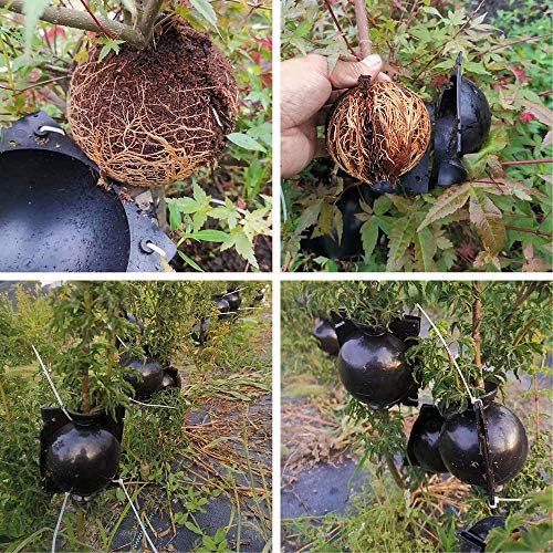Подлики за положување на воздухот Хаизхина, растителни растителни уреди за вкорени растителни растенија растат кутија за размножување