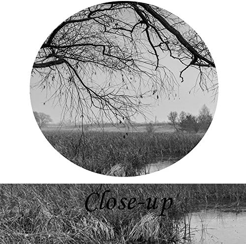 Креативна уметност - црно -бел wallиден уметност 5 парчиња модерно платно сликарство есенски пејзаж Слики дрво во езерото печати на платно