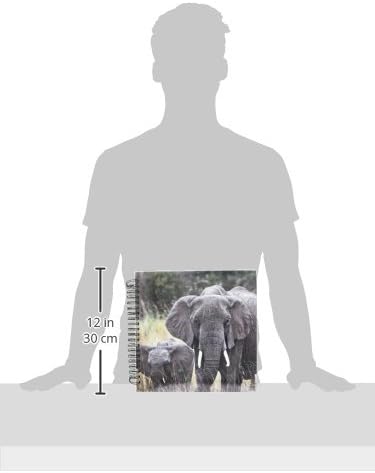 3Drose DB_9896_2 Африкански слон, Локдонта Африкана, Национален парк Маасаи Мара, Кенија Африка 2 Меморија Книга, 12 од 12 “