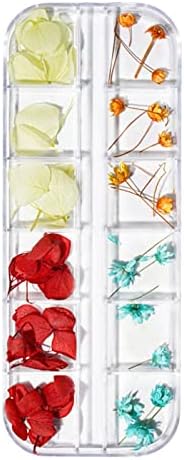 Лекод нокти уметности сушени цвеќиња суви цвеќиња мини цвеќиња за нокти уметнички материјали 3D налепница за декорација на нокти за совети за