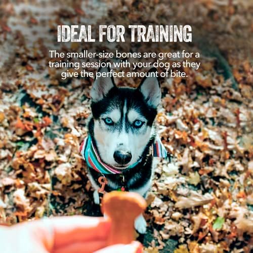 Гејнс Семејство Фарма Слатка Компир Куче Коски, Природни Третира За Обука Мали &засилувач; Големи Кучиња