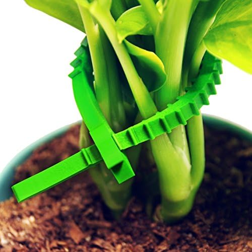 UT - ЖИЦА UTВ-КК20-Гн П Јазол Надворешна Градина За Повеќекратна Употреба Мек Домат Растителна Билка Од Растителни Билки, Зелена