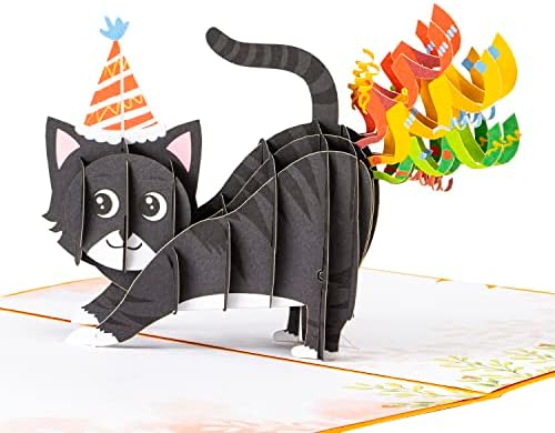 Креирај картички за роденден на мачки, картички за мачки се појавуваат роденденски картички за loversубители на мачки, жени, мажи,