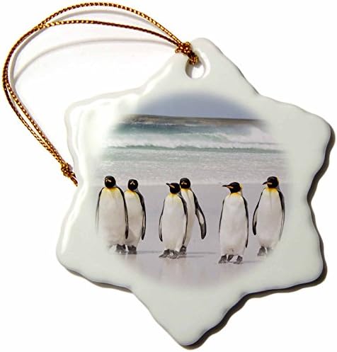 3drose Фолкландските острови кралот пингвини кои шетаат по украс на снегулка на плажа, 3 “
