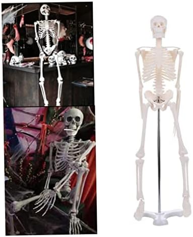 Модел на човечки скелети Muzrunq Анатомски скелет модел на скелети за едукација за обука за едукација за обука на едукација 45см.