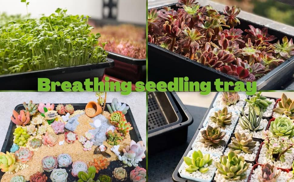 Begrit Seed Starter Shater 5-Pack 15x12 инчи мрежа Пластични садови за растителни садови за градинарски садници за почетници за обука на саксии