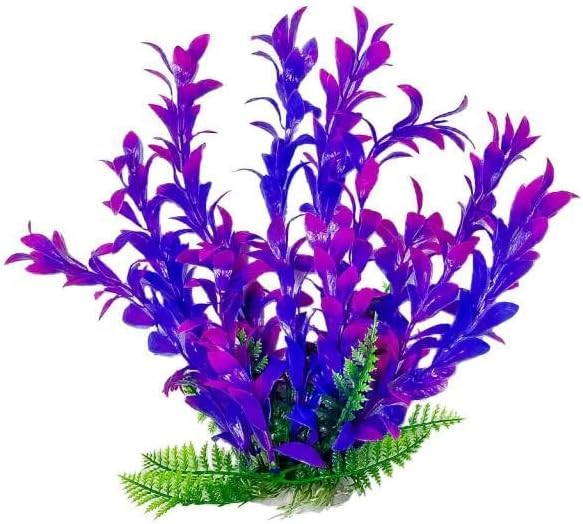 Акватоп 38201438: Растение, Хигро Розова/Виолетова 6во