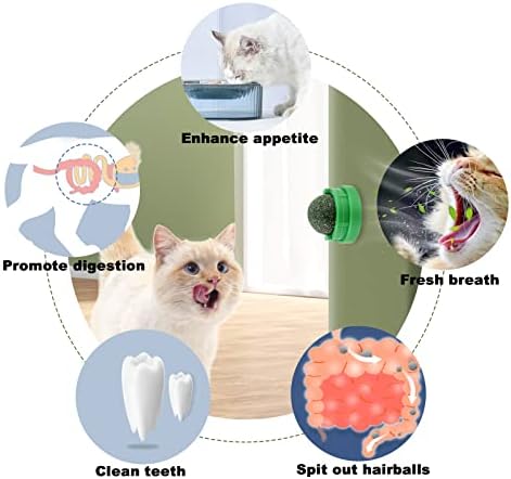 Каири Коча Билка Ѕид Играчки 3 Пакет Коча билка Играчки За Мачки Лижат Заби Чистење Стоматолошки Мачка Топката Играчка, Мачка Ѕид Третира