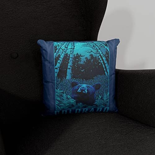 Колорадо ноќна мечка платно фрли перница за кауч или тросед дома и канцеларија од нафта сликарство од уметникот Кари Лер 18 x 18.
