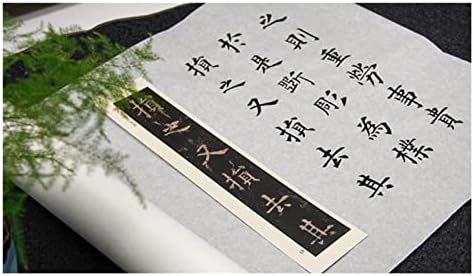 Најдобра ориз од Венжоу ориз Ксуан хартија од црница од лимчиња со мастило од мастило суми-е кинеска традиција сликарство калиграфија
