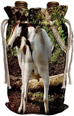 3дроза Вајтоакс Фотографија И Уметнички Дела-Кози - Гребење Чешање е фотографија од коза што се гребе-Вреќа Со Вино