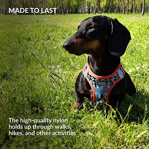 Колардиректен Чекор-Во Рефлектирачки Ремен За Кучиња - Секоја Временска Воздушна Мрежа За Мали И Средни Кучиња Лесна За Ставање